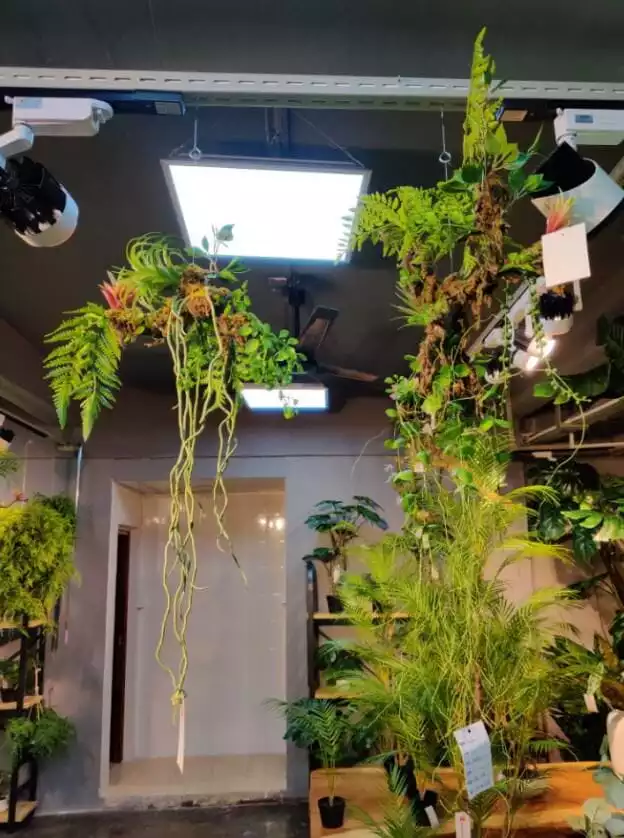 2020 Newest Artificial Hanging Plants